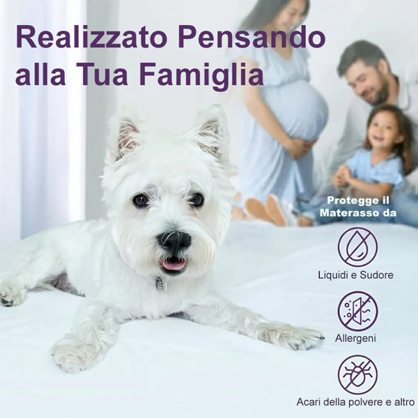 CLOUDREAM-3831127613059-IT-5__311225